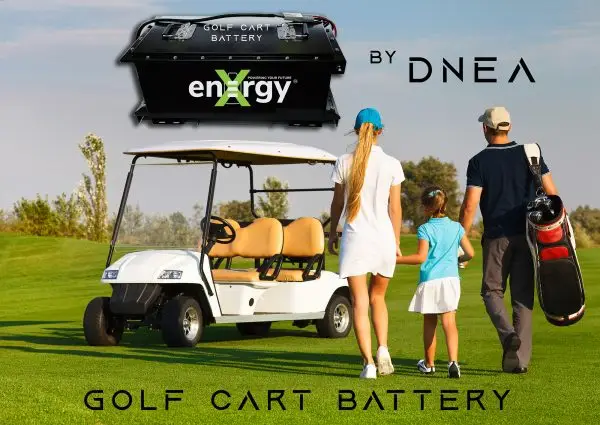 DNEA 48V 105AH Golf Cart Battery